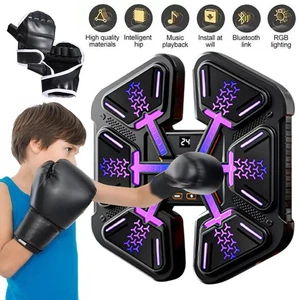 Boxing Machine Wall Mount Bluetooth Music Electronic Boxing Training Punching AU - Picture 1 of 18