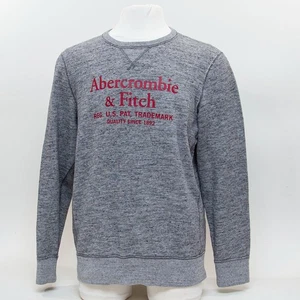 VTG Abercrombie & Fitch Mens LG Grey Sweatshirt Logo Spellout Y2K Long Sleeves - Picture 1 of 11