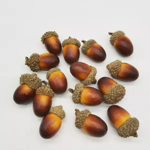 Natural Vintage Acorn Dried Forest Artificial Props Fruit Nuts Pine Cone - Picture 1 of 3