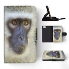 Flip Case For Apple Iphone|cute Adorable Tan Monkey Ape #10