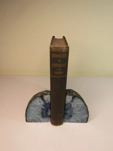 INTRODUCTION TO PSYCHOLOGY By Robert M. Yerkes 1st Edition 1911 HC - Picture 1 of 17