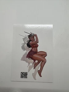 2023 J Lynn Warner Chicago Non Sport Show Promo Card #P27 - Bild 1 von 2