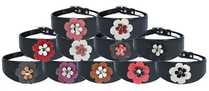 Italian Greyhound Black Leather Collar Padded Backing 10-12 Inch Flower Design - Picture 1 of 12
