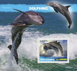 Sierra Leone Marine Animals Stamps 2020 MNH Dolphins Bottlenose Dolphin 1v S/S - Picture 1 of 1