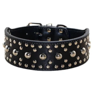 Studded Dog Collar, Leather Dog Collar for Medium Large Dogs Pitbull Doberman... - Foto 1 di 4