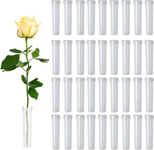 Blumenröhrchen, 50 Stück Frischhalteröhrchen Für Blumen, Ideal Für Hochzeiten Un - Bild 1 von 7
