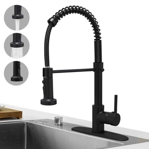Hoimpro Rubinetto Cucina a Molla Nero Opaco con Spruzzatore Estraibile, Rv Cucina... - Foto 1 di 8