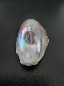 61 ct Massive Natural Ocean Pearl from Giant Clam Pearl Rare Australian Opalized