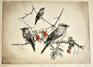 Linda Lloyd Original Limited Edition Etching Birds in Color, 1972 - Picture 1 of 2