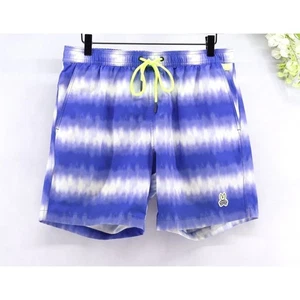 Psycho Bunny Men's Palling Lined Limited Edition Tie Dye Swim Trunks Blue Sz M - Picture 1 of 12