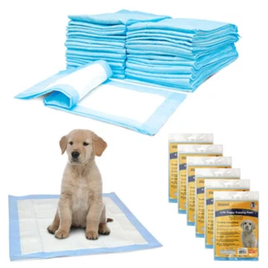 Set of 24 Heavy Absorbent Dog Puppy Training Pads for Housebreaking 224" Size - Picture 1 of 1