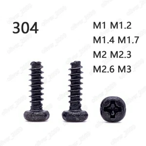 Black 304 Stainless Steel Phillips Pan Head Self Tapping Screws Flat Point Tail - Picture 1 of 5