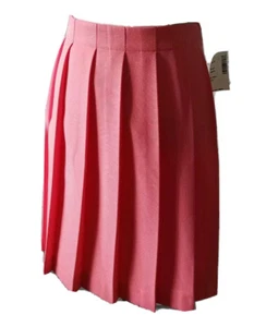 J.Crew Größe 10 Rock Plissee korallenrosa kurz Mini gefüttert Neu mit Etikett: 98 $ - Bild 1 von 9