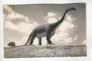 Rise Real Photo Postcard Brontosaurus Dinosaur Park Rapid City SD - Picture 1 of 1