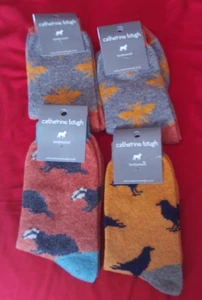 Catherine Tough Lambswool Ladies Socks x 4 NEW (UK 4-7) Badger/Bee/Bird - Picture 1 of 8
