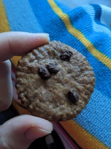 Organic Homemade Cinnamon Cookies with Chocolate Chips 8 OZ - Picture 1 of 7