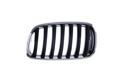Grill Grille Compatible With 2007-2013 BMW X5 2010-2013 BMW X6 BM1200181 Foto 1 de 4