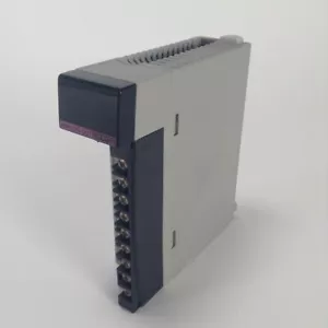 Hitachi EH-AY22 Analog Output Module Ausgangsmodul EH AY22 Used UMP - Picture 1 of 4