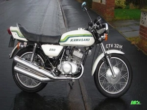 Kawasaki S1 250 Triple 1972 S1 & S2 350  Decal set - The BEST! - Picture 1 of 4