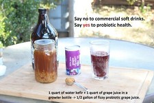 Dried water kefir grains (tibicos)-- 1 tablespoon