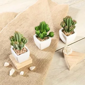 Green 3 Assorted 5" Artificial Faux Succulent Cactus Plants Off White Pots - Picture 1 of 7