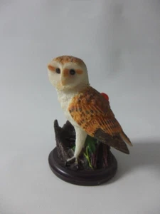 Nuestra hermosa colección de aves musgo águila Andy Pearce búho de velo - Imagen 1 de 5