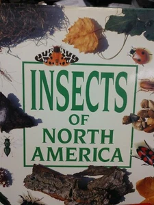 Insects of North America Hardcover George McGavin HC DJ  - Picture 1 of 8