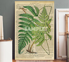 VINTAGE STYLE BOTANICAL PICTURE FRAMED CANVAS SHABBY CHIC BEIGE WALL ART #12