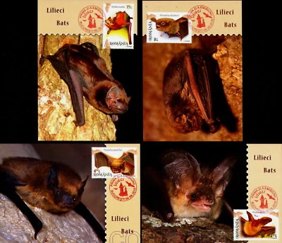 2016 Bats,Fledermaus,Chauve-souris,lilieci,DRACULA,Romania,7123,FDC maxi cards - Image 1 of 3