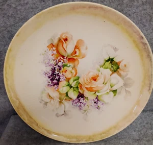 1910-1920 Floral Pattern China Plate by Globe China or Globe Pottery - Picture 1 of 2