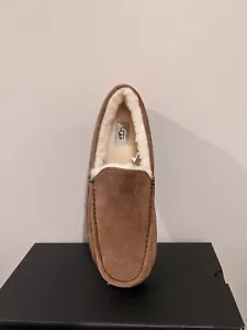 Ugg Australia Men`s Ascot Slipper Size 10 NIB - Picture 1 of 5
