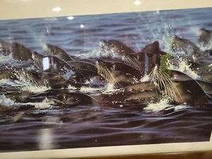 Ed Tussey, limited edition, signed, SEA LIONS, vintage, rare, AP 6 X OUT OF 20 - Picture 1 of 6