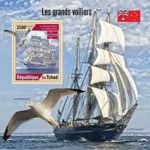 Chad - Barcos altos y pájaros 2021 - Hoja de recuerdo de sellos - TCH210330b - Imagen 1 de 1