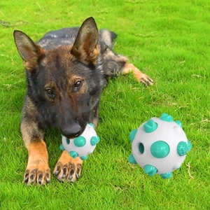 Bite Resistant Pet Toy Ball Wear Resistant Dog Training Toy Teeth Grinding - Picture 1 of 15