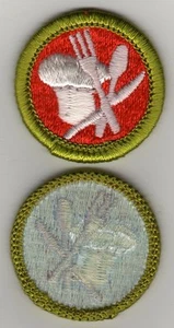 Cooking (Green Brd.) Merit Badge, Type H Blue Back Version (1972-2002), Mint! - Picture 1 of 1