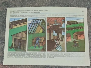 Soviet Poster ORIGINAL Bacteriological Weapon Quarantine Animals USSR - Picture 1 of 4