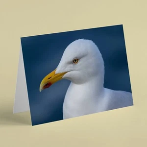 Close up of seagull birthday card suitable for husband dad friend brother family - Picture 1 of 1