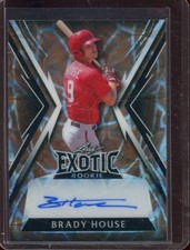 2023 Leaf Exotic Kaleidoscope Giraffe Brady House Auto Rc #BA-BH1 (1/1)