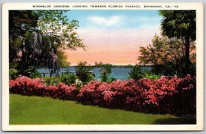 Vintage Savannah Georgia GA Wormsloe Gärten Blick Florida Passage 1930er Postkarte - Bild 1 von 2