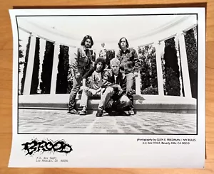 Foto publicitaria 8"x10" - The Brood (LA Band) Amery Smith Jon Nelson Todd Moyer - Imagen 1 de 3