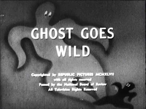 The Ghost Goes Wild 1947 Edward Everett Horton, Ruth Donnelly region free DVD - Imagen 1 de 1