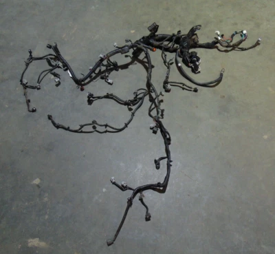 Arnés de cables de bahía de motor Nissan Máxima 2016 fabricante de equipos originales 3,5 L Foto 1 de 4