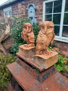 chainsaw carved owls - Picture 1 of 9