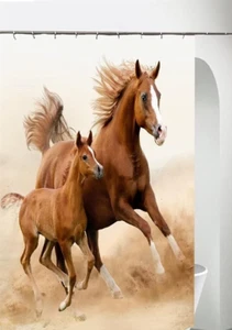 Horse Running with Child Bath Shower Curtain Liners - 69x71in Waterproof - Picture 1 of 8