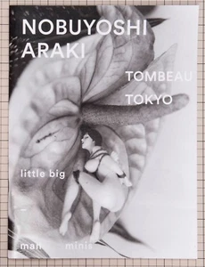New Nobuyoshi Araki TOMBEAU TOKYO Photo Book Limited Edition 67/350 Rare - Picture 1 of 9