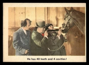 Fleer The 3 Stooges 1959 #66 Horse Doctors Ex+ - Imagen 1 de 2