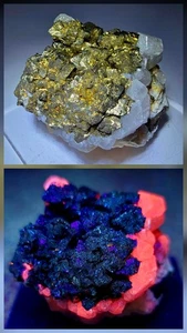 *** SÜSS - funkelnder goldener Pyrit auf fluoreszierenden Calcitkristallen, Mine South... - Bild 1 von 8