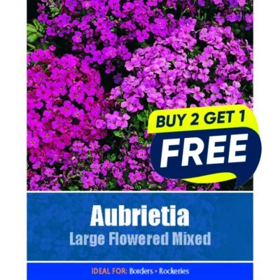 Flower Seeds Aubretia large flowered mixed  - 190 Seeds Garden Plant Seed Border - Image 1 of 4
