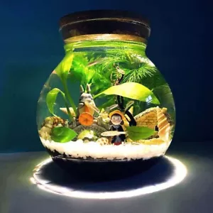 Aquarium Small Round Fish Tank Micro Bowl Landscaping Fighting Fish Glass Tank - Picture 1 of 6