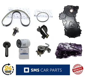 WET BELT KIT OIL PUMP BELT BOLT TRANSIT MK8 CUSTOM 2.0 ECOBLUE EURO 6 SUMP - Picture 1 of 5